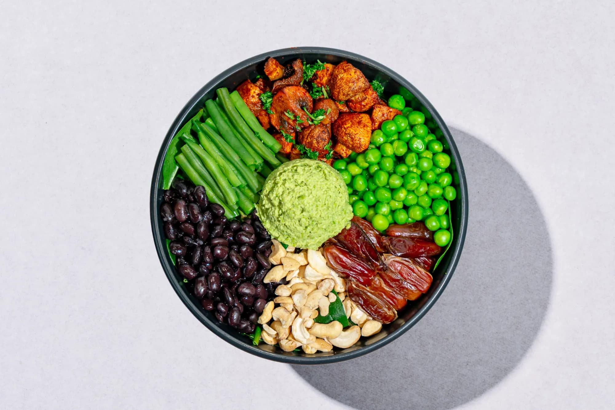 Plant Protein